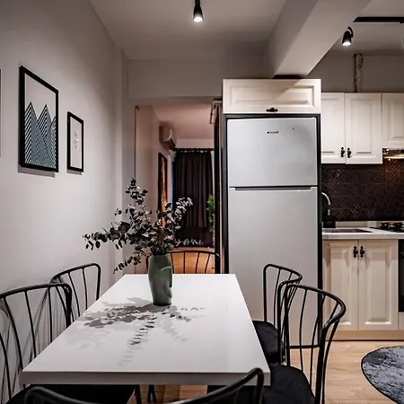 Spacious And Stylish 3br W Private Garden * İstanbul